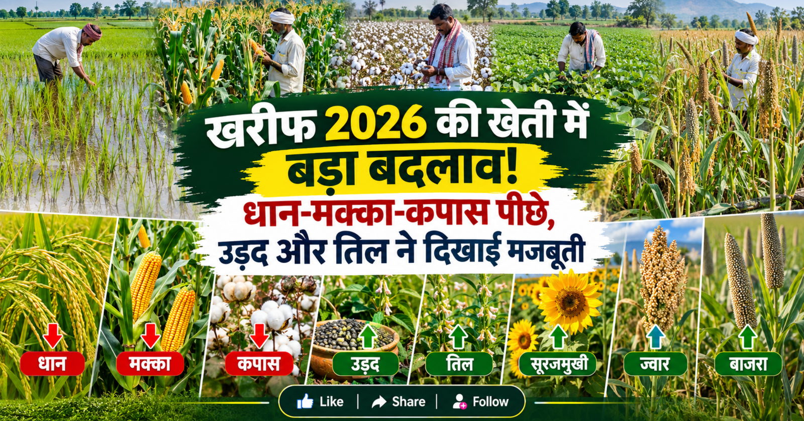Kharif 2026 Sowing Update Paddy Maize Cotton, Kharif 2026, Kharif Sowing 2026, Paddy Area, Maize Area, Cotton Sowing, Pulses, Urd, Soybean, Sesame, Sunflower, Millets, Farmers News, Agriculture News, Kharif Crop Area, खरीफ 2026 बुवाई अपडेट धान मक्का कपास, खरीफ 2026, खरीफ बुवाई 2026, धान क्षेत्र, मक्का क्षेत्र, कपास बुवाई, दालें, उर्द, सोयाबीन, तिल, सूरजमुखी, बाजरा, किसान समाचार, कृषि समाचार, खरीफ फसल क्षेत्र,