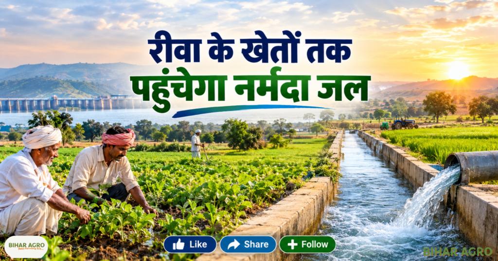 MP Government Free Land Patta Registration 2026, MP Free Land Patta Registration, MP Patta Registration 2026, Madhya Pradesh Free Registry, MP Property Registration 2026, MP Free Registry 2026, Madhya Pradesh Patta Registration, MP Land News, MP Property News, Swamitva Yojana 2026, ग्रामीण संपत्ति रजिस्ट्री, मध्यप्रदेश भूमि समाचार, किसान समाचार, रीवा कृषि समाचार,