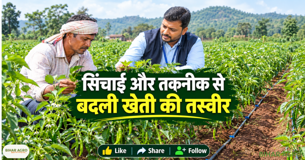मिर्च की खेती, जशपुर किसान, महेंद्र यादव, PMKSY 2.0, प्रधानमंत्री कृषि सिंचाई योजना, WDC-PMKSY 2.0, किसान सफलता, Chilli Farming, Chilli Farming Income, Agriculture News, Farming Success Story, Chilli Farming PM Krishi Sinchai Yojana Income, Mahendra Yadav Chilli Farming, Jashpur Chilli Farming, PMKSY WDC 2.0, मिर्च की खेती, मिर्च खेती से कमाई, कृषि सिंचाई योजना, किसान सफलता की कहानी,