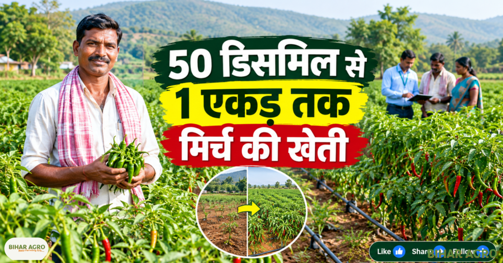 मिर्च की खेती, जशपुर किसान, महेंद्र यादव, PMKSY 2.0, प्रधानमंत्री कृषि सिंचाई योजना, WDC-PMKSY 2.0, किसान सफलता, Chilli Farming, Chilli Farming Income, Agriculture News, Farming Success Story, Chilli Farming PM Krishi Sinchai Yojana Income, Mahendra Yadav Chilli Farming, Jashpur Chilli Farming, PMKSY WDC 2.0, मिर्च की खेती, मिर्च खेती से कमाई, कृषि सिंचाई योजना, किसान सफलता की कहानी,