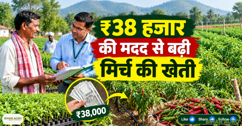मिर्च की खेती, जशपुर किसान, महेंद्र यादव, PMKSY 2.0, प्रधानमंत्री कृषि सिंचाई योजना, WDC-PMKSY 2.0, किसान सफलता, Chilli Farming, Chilli Farming Income, Agriculture News, Farming Success Story, Chilli Farming PM Krishi Sinchai Yojana Income, Mahendra Yadav Chilli Farming, Jashpur Chilli Farming, PMKSY WDC 2.0, मिर्च की खेती, मिर्च खेती से कमाई, कृषि सिंचाई योजना, किसान सफलता की कहानी,