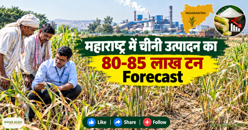 Maharashtra Sugarcane Production Sugar Recovery Rate Forecast, Maharashtra sugar production 2026-27, Maharashtra sugarcane production, sugar recovery rate Maharashtra, Maharashtra sugar output forecast, sugarcane production Maharashtra, Maharashtra sugar season 2026-27, sugar recovery forecast, Maharashtra sugarcane news, sugar production forecast, Maharashtra Sugarcane, Maharashtra Sugar Production, Sugar Recovery Rate, Sugarcane Production 2026, Maharashtra Sugar News, Sugar Season 2026-27, Sugarcane Farmers, Maharashtra Farmers, Sugar Mill, Sugar Recovery, Sugar Production Forecast, Ganna News, गन्ना समाचार, महाराष्ट्र गन्ना, चीनी उत्पादन,