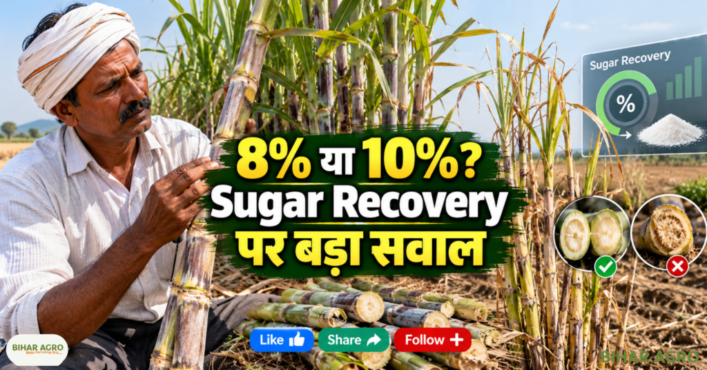 Maharashtra Sugarcane Production Sugar Recovery Rate Forecast, Maharashtra sugar production 2026-27, Maharashtra sugarcane production, sugar recovery rate Maharashtra, Maharashtra sugar output forecast, sugarcane production Maharashtra, Maharashtra sugar season 2026-27, sugar recovery forecast, Maharashtra sugarcane news, sugar production forecast, Maharashtra Sugarcane, Maharashtra Sugar Production, Sugar Recovery Rate, Sugarcane Production 2026, Maharashtra Sugar News, Sugar Season 2026-27, Sugarcane Farmers, Maharashtra Farmers, Sugar Mill, Sugar Recovery, Sugar Production Forecast, Ganna News, गन्ना समाचार, महाराष्ट्र गन्ना, चीनी उत्पादन, महाराष्ट्र गन्ना उत्पादन चीनी रिकवरी दर पूर्वानुमान, महाराष्ट्र चीनी उत्पादन 2026-27, महाराष्ट्र गन्ना उत्पादन, चीनी रिकवरी दर महाराष्ट्र, महाराष्ट्र चीनी उत्पादन पूर्वानुमान, गन्ना उत्पादन महाराष्ट्र, महाराष्ट्र चीनी सीजन 2026-27, चीनी रिकवरी पूर्वानुमान, महाराष्ट्र गन्ना समाचार, चीनी उत्पादन पूर्वानुमान, महाराष्ट्र गन्ना, महाराष्ट्र चीनी उत्पादन, चीनी रिकवरी दर, गन्ना उत्पादन 2026, महाराष्ट्र चीनी समाचार, चीनी सीजन 2026-27, गन्ना किसान, महाराष्ट्र किसान, चीनी मिल, चीनी रिकवरी, चीनी उत्पादन पूर्वानुमान, गन्ना समाचार, गन्ने का समाचार, महाराष्ट्र राज्य, चीनी उत्पादन,