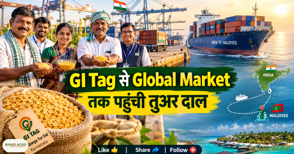 Toor Dal GI Tag Karnatka Export, Gulbarga Tur Dal, Karnataka Tur Dal, GI Tag Tur Dal, Maldives Export, APEDA, Kalaburagi Tur Dal, Tur Dal Export, FPO, Agriculture Export, Farmers Income, तूर दाल GI टैग कर्नाटक निर्यात, गुलबर्गा तूर दाल, कर्नाटक तूर दाल, जीआई टैग तूर दाल, मालदीव निर्यात, एपीडा, कलबुर्गी तूर दाल, तूर दाल निर्यात, एफपीओ, कृषि निर्यात, किसानों की आय,