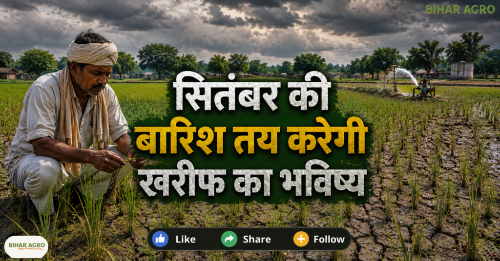 Monsoon Rainfall Deficit Kharif Crops 2026, Monsoon 2026, Kharif Crops, Rainfall Deficit, IMD Weather Update, September Rainfall, Farmers News, Indian Monsoon, El Nino 2026, Agriculture News,