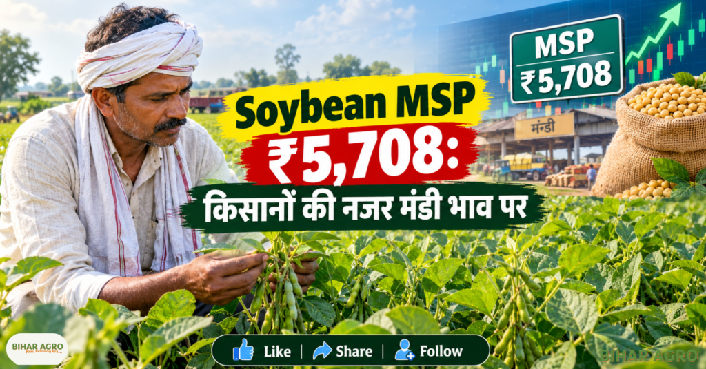 Soybean Price Fall Oil Import Duty Cut, Soybean Price Fall Oil Import Duty Cut, soybean price fall, soybean price today, soybean mandi bhav, soybean farmers, edible oil import duty, soybean oil import duty, soybean MSP 2026-27, soyabean price India, oil import duty cut, soybean market India, edible oil prices, soybean farming, soybean crop price, सोयाबीन की कीमत में गिरावट, तेल आयात शुल्क में कटौती, सोयाबीन की कीमत में गिरावट, तेल आयात शुल्क में कटौती, सोयाबीन की कीमत में गिरावट, सोयाबीन की कीमत आज, सोयाबीन मंडी भाव, सोयाबीन किसान, खाद्य तेल आयात शुल्क, सोयाबीन तेल आयात शुल्क, सोयाबीन एमएसपी 2026-27, सोयाबीन की कीमत भारत, तेल आयात शुल्क में कटौती, सोयाबीन बाजार भारत, खाद्य तेल की कीमतें, सोयाबीन की खेती, सोयाबीन फसल की कीमत,