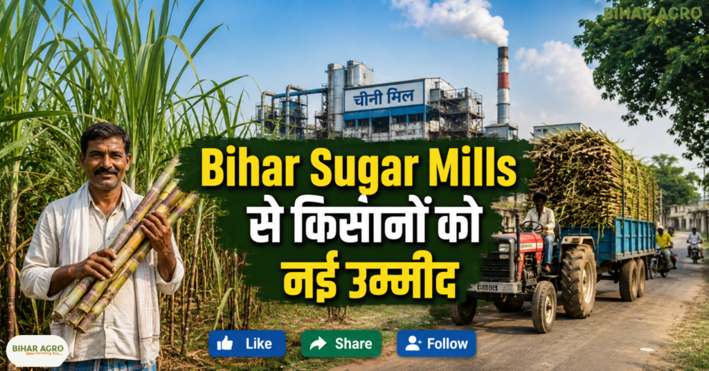 Bihar Sugar Mills, बिहार चीनी मिल, गन्ना किसान, नवादा चीनी मिल, वारिसलीगंज चीनी मिल, मोतीपुर चीनी मिल, सासामूसा चीनी मिल, बिहार गन्ना उद्योग, Sugar Mill Bihar, Sugarcane Farmers,