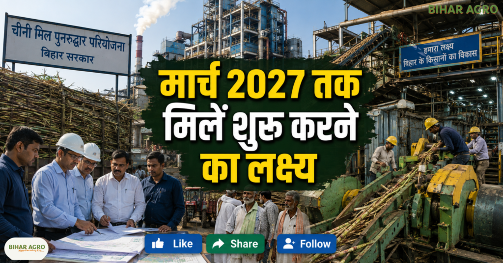 Bihar Sugar Mills, बिहार चीनी मिल, गन्ना किसान, नवादा चीनी मिल, वारिसलीगंज चीनी मिल, मोतीपुर चीनी मिल, सासामूसा चीनी मिल, बिहार गन्ना उद्योग, Sugar Mill Bihar, Sugarcane Farmers,