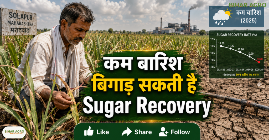 Sugar Price Relief, Sugar Price Relief Maharashtra, Sugar Price, Maharashtra Sugarcane Crushing, Sugarcane Crushing 15 Days Early, Sugar Price Today, Maharashtra Sugar Industry, Sugar Recovery Rate, चीनी के दाम, Maharashtra Sugarcane, गन्ने की पेराई, महाराष्ट्र चीनी मिल, Sugar Price Today, Sugar Recovery, Sugarcane Crushing Season, Maharashtra Sugar News, Sugar Market, Sugar Supply, Sugar Import,
