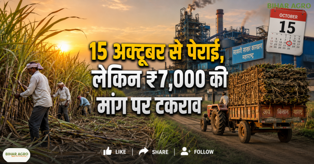 Sugarcane Price Hike Protect Plan October 2026, Maharashtra Sugarcane Price, Sugarcane Farmers Protest, ₹7000 Sugarcane Price, Maharashtra Sugar Mill, Sugarcane FRP 2026-27, महाराष्ट्र गन्ना किसान, गन्ने का भाव, ₹7000 गन्ना भाव, Sugarcane Price Hike, महाराष्ट्र शुगर मिल, सदाभाऊ खोत, गन्ना आंदोलन, जंतर मंतर किसान आंदोलन,