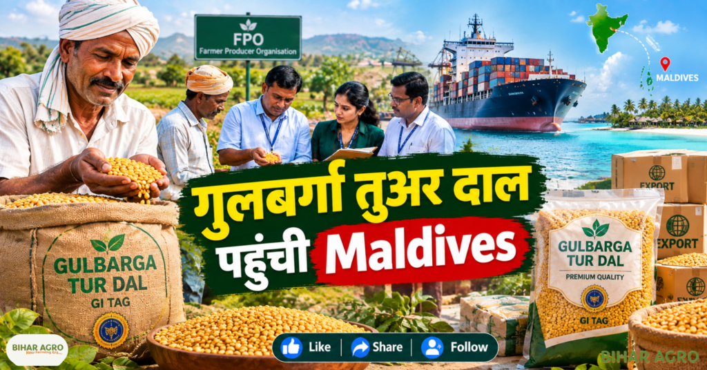 Toor Dal GI Tag Karnatka Export, Gulbarga Tur Dal, Karnataka Tur Dal, GI Tag Tur Dal, Maldives Export, APEDA, Kalaburagi Tur Dal, Tur Dal Export, FPO, Agriculture Export, Farmers Income, तूर दाल GI टैग कर्नाटक निर्यात, गुलबर्गा तूर दाल, कर्नाटक तूर दाल, जीआई टैग तूर दाल, मालदीव निर्यात, एपीडा, कलबुर्गी तूर दाल, तूर दाल निर्यात, एफपीओ, कृषि निर्यात, किसानों की आय,