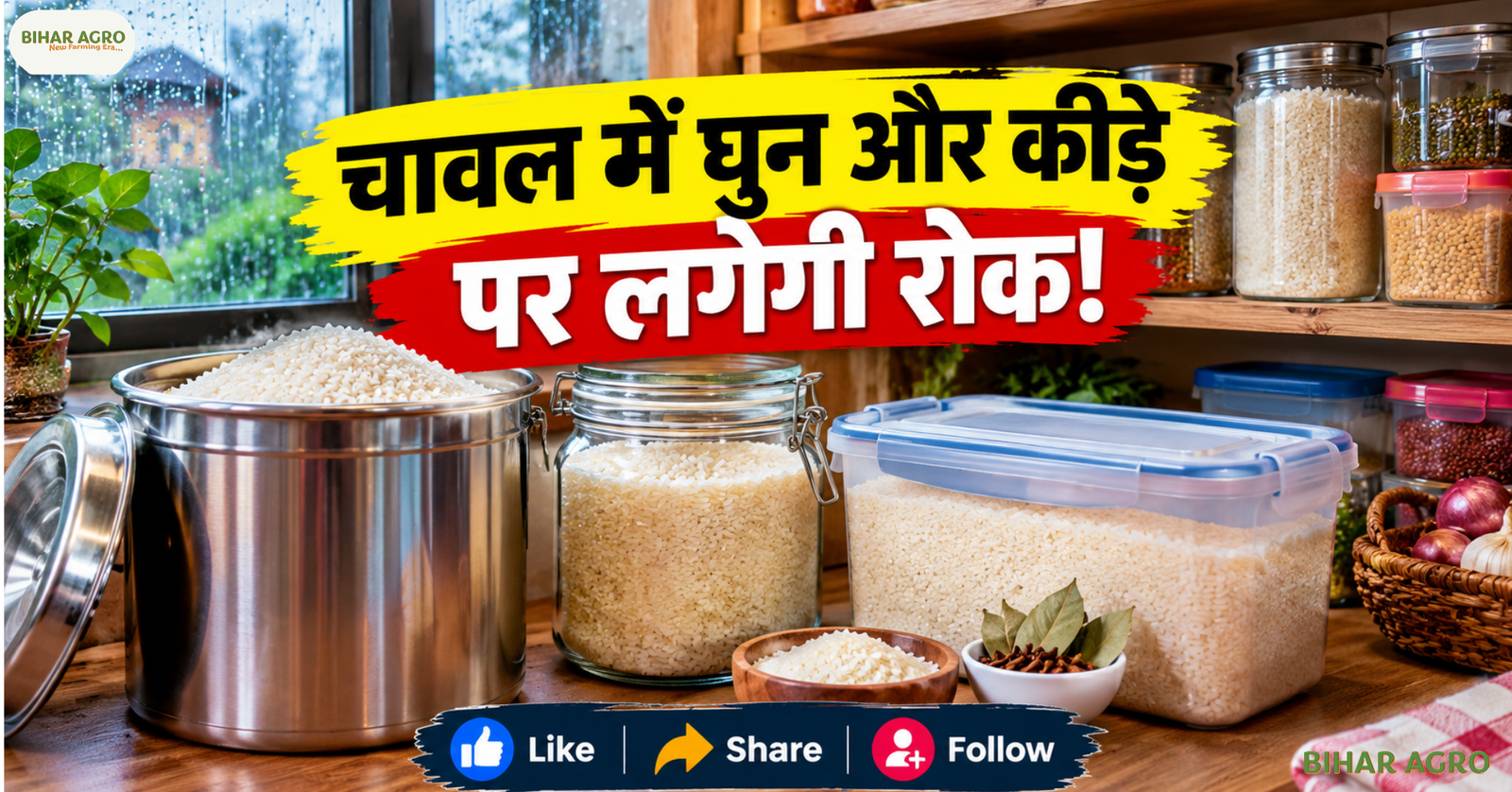 Rice Storage Tips, rice storage, चावल को स्टोर करने का तरीका, चावल में घुन से बचाव, चावल में कीड़े से बचाव, rice storage in monsoon, चावल सुरक्षित रखने के उपाय, airtight rice container, चावल की नमी से बचाव, चावल स्टोरेज टिप्स, चावल में घुन, चावल में कीड़े, Rice Storage, मानसून किचन टिप्स, अनाज स्टोरेज, Kitchen Storage Tips, चावल सुरक्षित रखने के तरीके, Food Storage Tips,