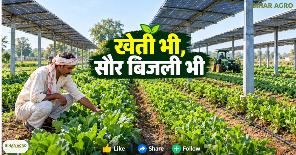 Agrivoltaics Technology in India, Agrivoltaics Farming, AgriPV System, Solar Farming in India, PM-KUSUM Yojana 2026, Solar Panel Farming, Farmers Income, Agrivoltaics Benefits, Agrivoltaics Technology, एग्रीवोल्टाइक खेती, सोलर पैनल खेती, PM KUSUM Yojana, किसान आय, सौर ऊर्जा, कृषि समाचार, छोटे किसान, ग्रामीण रोजगार, Solar Farming India, AgriPV System,