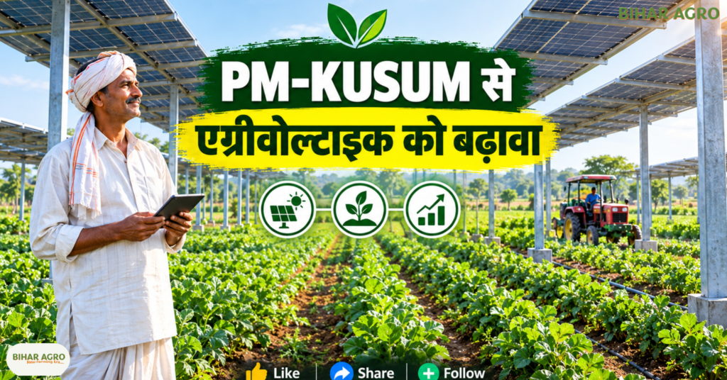 Agrivoltaics Technology in India, Agrivoltaics Farming, AgriPV System, Solar Farming in India, PM-KUSUM Yojana 2026, Solar Panel Farming, Farmers Income, Agrivoltaics Benefits, Agrivoltaics Technology, एग्रीवोल्टाइक खेती, सोलर पैनल खेती, PM KUSUM Yojana, किसान आय, सौर ऊर्जा, कृषि समाचार, छोटे किसान, ग्रामीण रोजगार, Solar Farming India, AgriPV System,