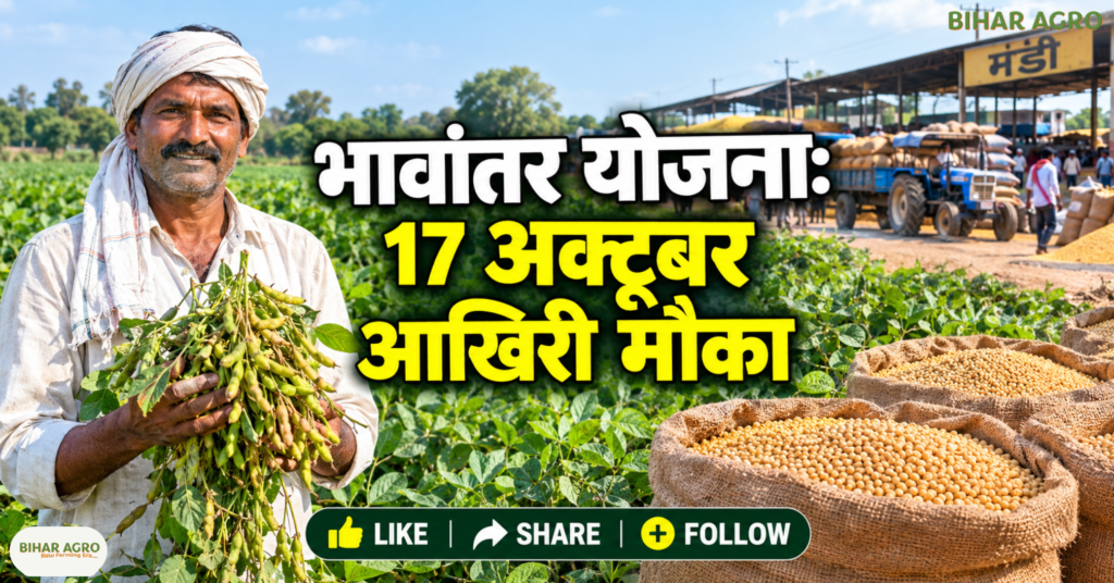 MP Bhavantar Yojana 2026, Soybean Bhavantar Scheme, Bhavantar Payment Status, Soybean MSP 2026, e-Uparjan Registration, PM-AASHA, MP Soybean Farmers, मध्य प्रदेश भावांतर योजना, Bhavantar Scheme 2026, सोयाबीन किसान, भावांतर भुगतान, MSP योजना, ई-उपार्जन पंजीयन, PM-AASHA, मध्य प्रदेश कैबिनेट, किसान सरकारी योजना, सोयाबीन मंडी भाव, सिंचाई परियोजना,