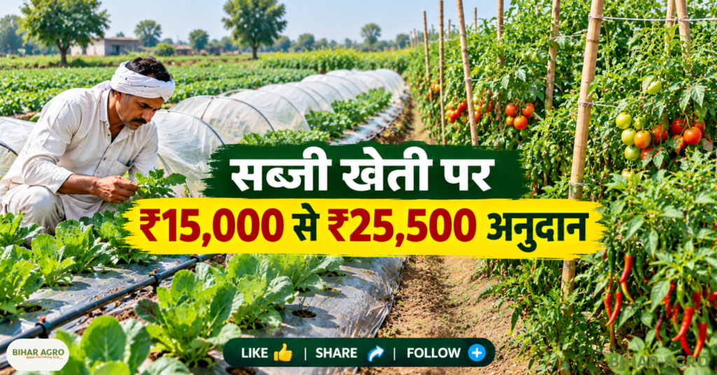 Haryana Bagwani Kheti Anudan Yojana 2026, Haryana horticulture subsidy, Haryana bagwani subsidy, बागवानी अनुदान योजना हरियाणा, फल बाग सब्सिडी, सब्जी खेती अनुदान, Hortnet Haryana, Meri Fasal Mera Byora, हरियाणा बागवानी खेती अनुदान योजना 2026, हरियाणा बागवानी सब्सिडी, हरियाणा बागवानी सब्सिडी, बागवानी अनुदान योजनाहरियाणा, फल बागान अनुदान, बागवानी अनुदान, हॉर्टनेट हरियाणा,
