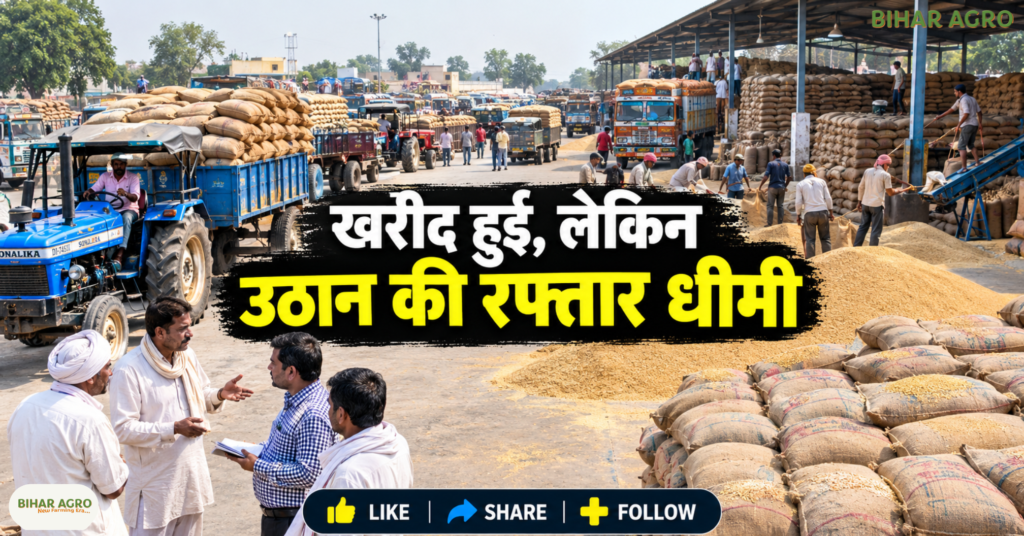Haryana Paddy Procurement, Haryana Paddy Procurement Delay Farmers Facing Trouble, Haryana Paddy Procurement 2026, Haryana Paddy MSP 2026-27, Paddy Procurement Delay, Haryana Mandi News, Punjab Paddy Procurement, Paddy Moisture Limit, Farmers MSP News, हरियाणा धान खरीद, धान खरीद में देरी, हरियाणा मंडी समाचार, धान MSP 2026-27, किसान समाचार, पंजाब धान खरीद, धान में नमी, सरकारी धान खरीद, किसान आंदोलन, Haryana Agriculture News,
