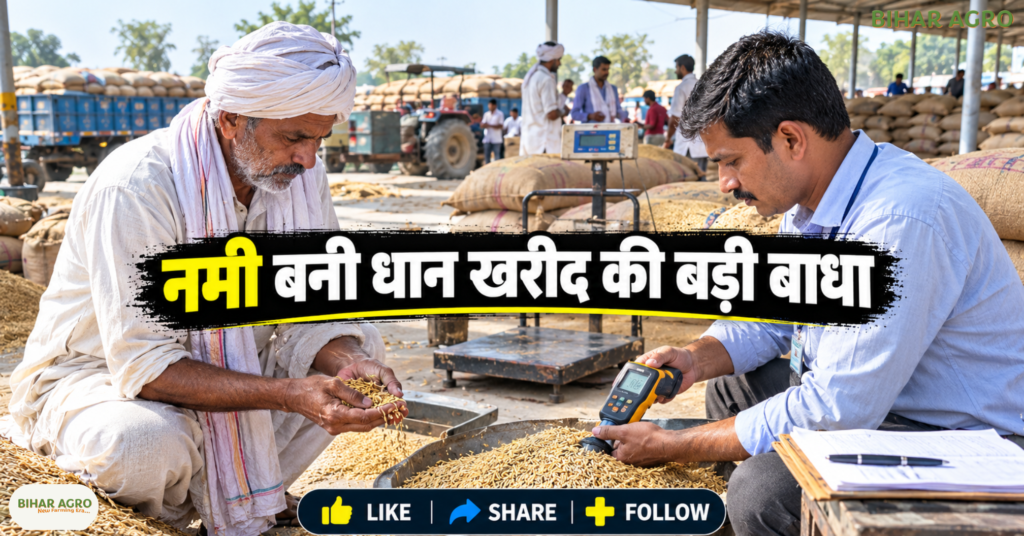 Haryana Paddy Procurement, Haryana Paddy Procurement Delay Farmers Facing Trouble, Haryana Paddy Procurement 2026, Haryana Paddy MSP 2026-27, Paddy Procurement Delay, Haryana Mandi News, Punjab Paddy Procurement, Paddy Moisture Limit, Farmers MSP News, हरियाणा धान खरीद, धान खरीद में देरी, हरियाणा मंडी समाचार, धान MSP 2026-27, किसान समाचार, पंजाब धान खरीद, धान में नमी, सरकारी धान खरीद, किसान आंदोलन, Haryana Agriculture News,