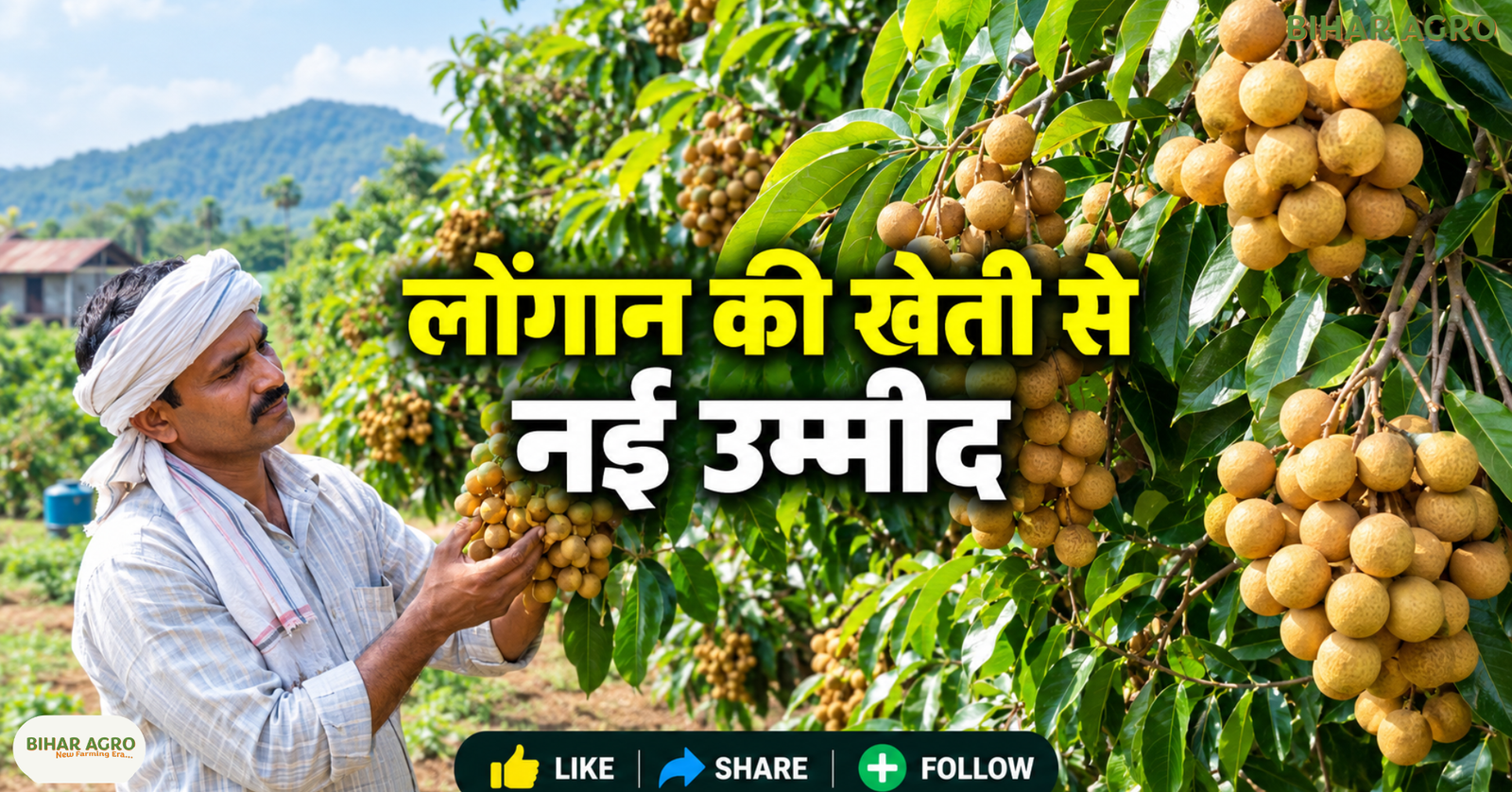 Longan Farming, Longan Farming in India, लोंगान की खेती, ड्रैगन आई फल की खेती, Longan Fruit Plant, लोंगान के पौधे, Gandaki Uday Longan Variety, लोंगान की उन्नत किस्म, Longan Cultivation Guide, Longan Farming, Dragon Eye Fruit, लोंगान की खेती, Exotic Fruit Farming, फलों की खेती, Gandaki Uday, बागवानी, Longan Fruit Plant, किसान, ICAR,