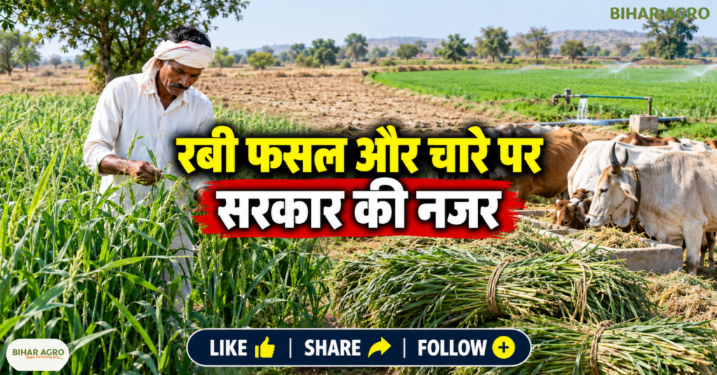 Maharashtra drought relief 2026, Maharashtra farmers news, ₹5000 farmer relief, Maharashtra drought affected talukas, Devendra Fadnavis announcement, Maharashtra farmer assistance, सूखा प्रभावित किसान, महाराष्ट्र किसान राहत, दिवाली से पहले किसान सहायता, सूखा राहत योजना 2026, Maharashtra Drought Hit Farmers To Get Rs 5000 Before Diwali, Maharashtra Drought Hit Farmers,