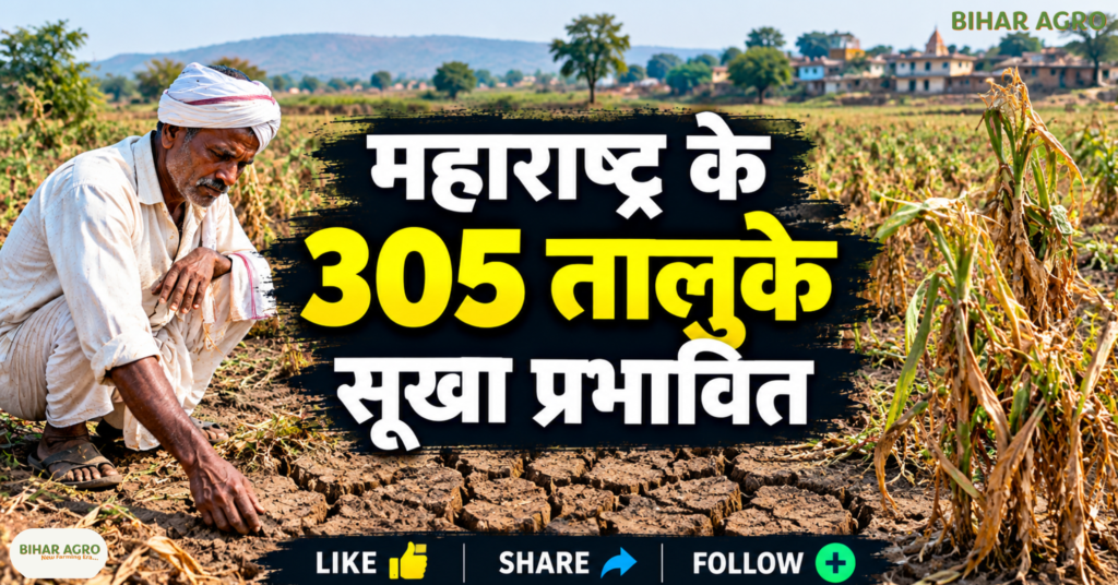 Maharashtra drought relief 2026, Maharashtra farmers news, ₹5000 farmer relief, Maharashtra drought affected talukas, Devendra Fadnavis announcement, Maharashtra farmer assistance, सूखा प्रभावित किसान, महाराष्ट्र किसान राहत, दिवाली से पहले किसान सहायता, सूखा राहत योजना 2026, Maharashtra Drought Hit Farmers To Get Rs 5000 Before Diwali, Maharashtra Drought Hit Farmers,