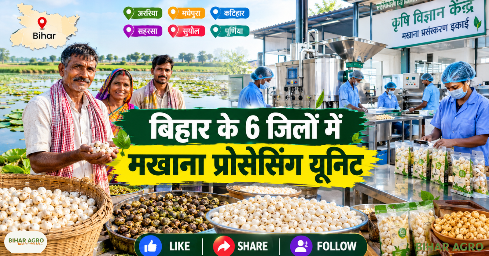 Makhana Processing Units in Bihar, बिहार मखाना, मखाना प्रोसेसिंग यूनिट, मखाना किसान, मखाना खेती, मखाना प्रसंस्करण, मखाना वैल्यू एडिशन, बिहार कृषि, कृषि विज्ञान केंद्र, मखाना बिजनेस, Makhana Processing, मखाना मार्केटिंग, Bihar Makhana, Makhana processing unit, Makhana farmers, Makhana cultivation, Makhana processing, Makhana value addition, Bihar agriculture, Krishi Vigyan Kendra, Makhana business, Makhana processing, Makhana,