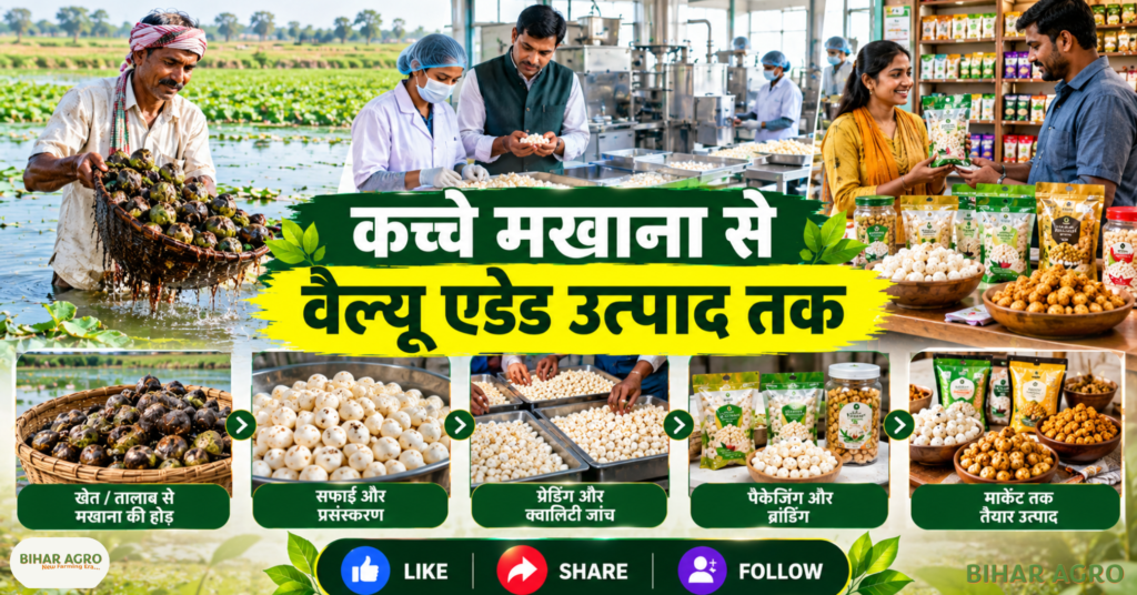 Makhana Processing Units in Bihar, बिहार मखाना, मखाना प्रोसेसिंग यूनिट, मखाना किसान, मखाना खेती, मखाना प्रसंस्करण, मखाना वैल्यू एडिशन, बिहार कृषि, कृषि विज्ञान केंद्र, मखाना बिजनेस, Makhana Processing, मखाना मार्केटिंग, Bihar Makhana, Makhana processing unit, Makhana farmers, Makhana cultivation, Makhana processing, Makhana value addition, Bihar agriculture, Krishi Vigyan Kendra, Makhana business, Makhana processing, Makhana,