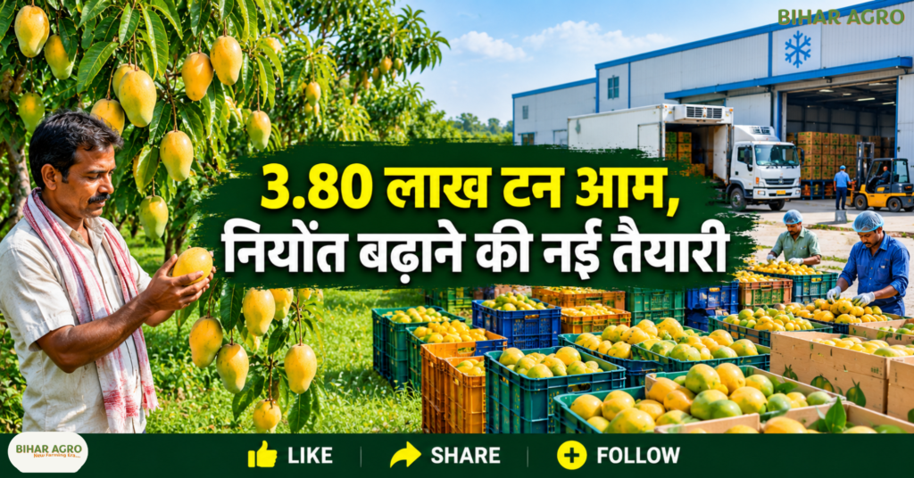 Malda To Become Mango Capital Of India, मालदा आम, आम निर्यात योजना, पश्चिम बंगाल आम की खेती, Mango Export India, Malda Mango, GI Tag Mango, आम किसानों की कमाई, कोल्ड चेन, आम प्रसंस्करण, Bihar Agro,