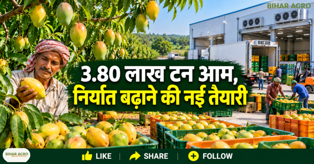 Malda To Become Mango Capital Of India, मालदा आम, आम निर्यात योजना, पश्चिम बंगाल आम की खेती, Mango Export India, Malda Mango, GI Tag Mango, आम किसानों की कमाई, कोल्ड चेन, आम प्रसंस्करण, Bihar Agro,