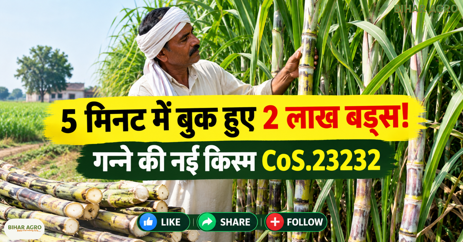 New Sugarcane Variety, CoS.23232 sugarcane variety, गन्ने की नई किस्म, CoS.23232 गन्ना बीज, sugarcane buds booking, गन्ना बीज ऑनलाइन बुकिंग, CoS.23232, New Sugarcane Variety, गन्ने की नई किस्म, गन्ना बीज, उत्तर प्रदेश गन्ना समाचार, गन्ना खेती, गन्ना अनुसंधान, Co.0238, सिंगल बड तकनीक, टिश्यू कल्चर,
