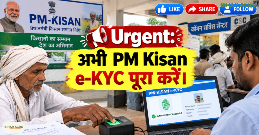 PM Kisan 24th Installment Release Date, PM Kisan Yojana, PM Kisan eKYC Update, PM Kisan Portal 4 Updates, PM Kisan 20 October Viral News, Nagra Saran eKYC Alert, PM Kisan Missing Information Update, पीएम किसान 24वीं किस्त जारी करने की तारीख, पीएम किसान योजना, पीएम किसान ईकेवाईसी अपडेट, पीएम किसान पोर्टल 4 अपडेट, पीएम किसान 20 अक्टूबर वायरल न्यूज, नागरा सरन ईकेवाईसी अलर्ट, पीएम किसान गुम सूचना अपडेट,