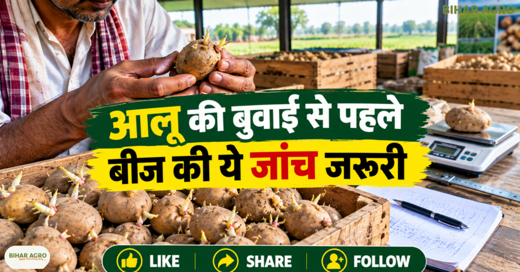 Potato Sowing Technique 2026, potato sowing, आलू की बुवाई तकनीक, आलू खेती 2026, potato planting machine, आलू बीज उपचार, आलू की उन्नत खेती, potato farming, Potato Sowing Technique 2026, आलू की बुवाई, आलू खेती, आलू की उन्नत खेती, potato farming 2026, potato planter machine, आलू बीज, रबी आलू खेती, आलू उत्पादन तकनीक, किसान खेती टिप्स,