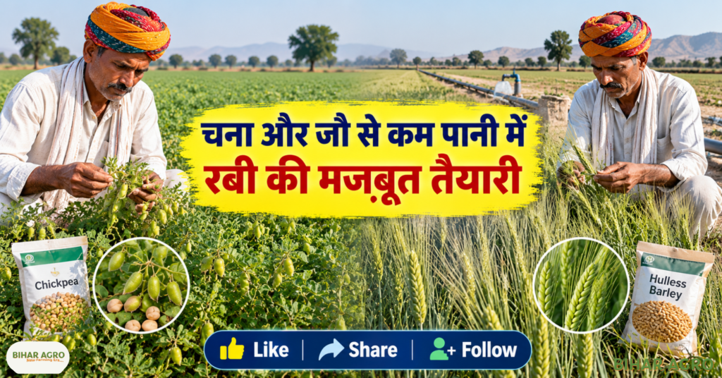 Monsoon Rabi Season Irrigation Crisis Rajasthan Farmers, Rabi Season Irrigation Crisis Rajasthan-Farmers 2026, Rajasthan Rabi 2026, रबी फसल, कम पानी में खेती, सरसों की किस्म, चना की किस्म, जौ की खेती, गेहूं की किस्म, श्रीगंगानगर कृषि, फसल विविधीकरण, सिंचाई संकट, किसान सलाह, Rajasthan Rabi Crop 2026, Rajasthan irrigation crisis, कम पानी में रबी फसल, राजस्थान सरसों की किस्म, राजस्थान चना किस्म, DWRB 223 जौ, WH 1402 गेहूं, DBW 296 गेहूं, श्रीगंगानगर रबी फसल,