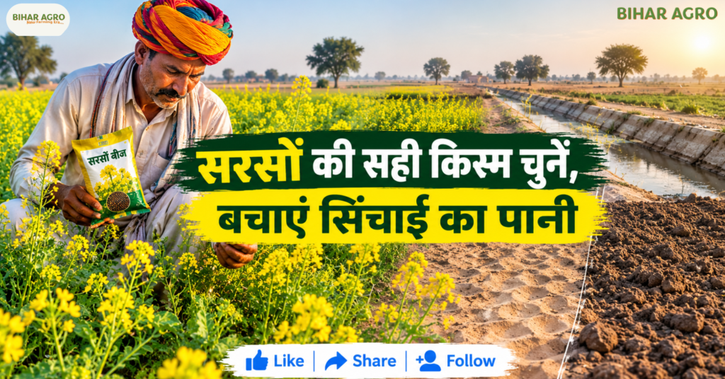 Monsoon Rabi Season Irrigation Crisis Rajasthan Farmers, Rabi Season Irrigation Crisis Rajasthan-Farmers 2026, Rajasthan Rabi 2026, रबी फसल, कम पानी में खेती, सरसों की किस्म, चना की किस्म, जौ की खेती, गेहूं की किस्म, श्रीगंगानगर कृषि, फसल विविधीकरण, सिंचाई संकट, किसान सलाह, Rajasthan Rabi Crop 2026, Rajasthan irrigation crisis, कम पानी में रबी फसल, राजस्थान सरसों की किस्म, राजस्थान चना किस्म, DWRB 223 जौ, WH 1402 गेहूं, DBW 296 गेहूं, श्रीगंगानगर रबी फसल,