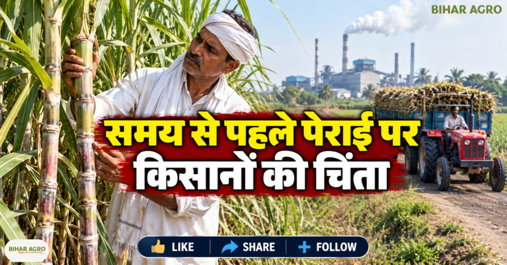 Raju Shetti, Sugarcane Farmers Protest, Sugarcane Price, Maharashtra Farmers News, Sugar Mill Protest, Sugar MSP, Ethanol Price, Ganna Kisan, FRP 2026-27, Swabhimani Shetkari Sanghatana, राजू शेट्टी आंदोलन, गन्ना किसान आंदोलन महाराष्ट्र, गन्ने का भाव 5000 रुपये, चीनी MSP 50 रुपये, इथेनॉल का भाव 70 रुपये, महाराष्ट्र चीनी मिल समाचार, गन्ना FRP 2026-27, स्वाभिमानी शेतकरी संगठन,