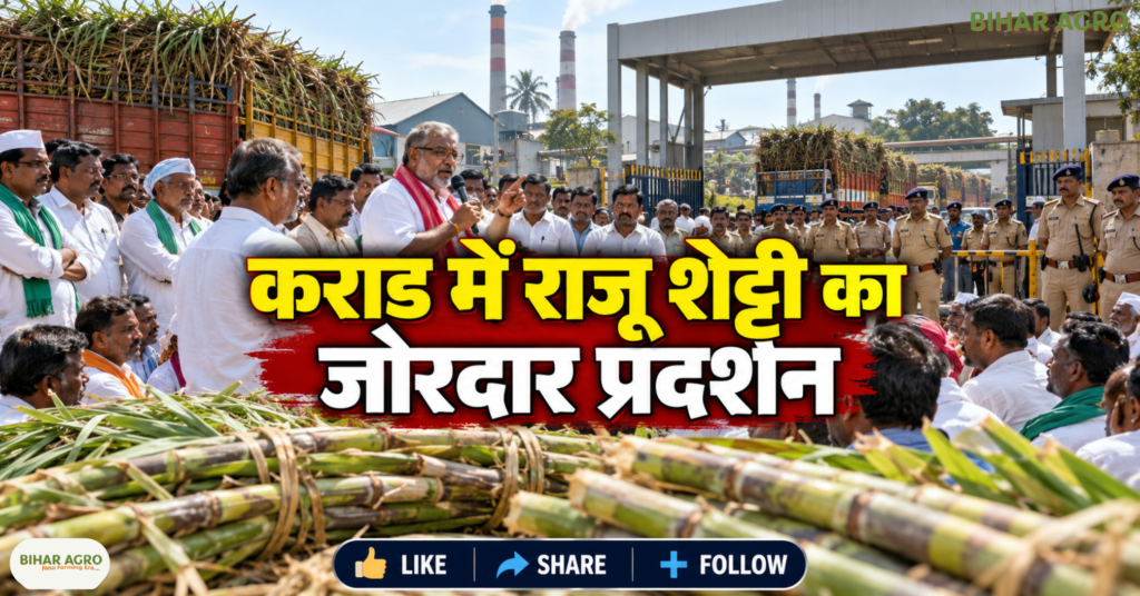 Raju Shetti, Sugarcane Farmers Protest, Sugarcane Price, Maharashtra Farmers News, Sugar Mill Protest, Sugar MSP, Ethanol Price, Ganna Kisan, FRP 2026-27, Swabhimani Shetkari Sanghatana, राजू शेट्टी आंदोलन, गन्ना किसान आंदोलन महाराष्ट्र, गन्ने का भाव 5000 रुपये, चीनी MSP 50 रुपये, इथेनॉल का भाव 70 रुपये, महाराष्ट्र चीनी मिल समाचार, गन्ना FRP 2026-27, स्वाभिमानी शेतकरी संगठन,