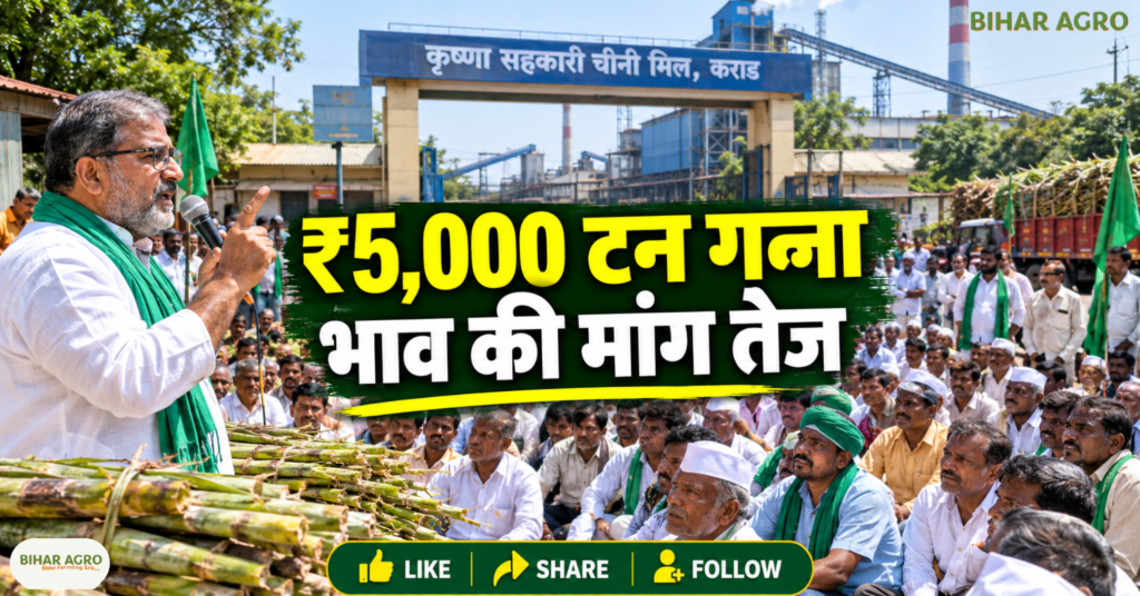 Raju Shetti, Sugarcane Farmers Protest, Sugarcane Price, Maharashtra Farmers News, Sugar Mill Protest, Sugar MSP, Ethanol Price, Ganna Kisan, FRP 2026-27, Swabhimani Shetkari Sanghatana, राजू शेट्टी आंदोलन, गन्ना किसान आंदोलन महाराष्ट्र, गन्ने का भाव 5000 रुपये, चीनी MSP 50 रुपये, इथेनॉल का भाव 70 रुपये, महाराष्ट्र चीनी मिल समाचार, गन्ना FRP 2026-27, स्वाभिमानी शेतकरी संगठन,