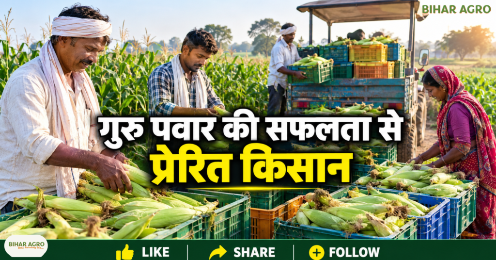 स्वीट कॉर्न की खेती, Sweet Corn Farming, गुरु पवार किसान, 70 एकड़ खेती, 40 लाख रुपये की कमाई, छिंदवाड़ा किसान, आत्मा परियोजना, स्वीट कॉर्न की उन्नत खेती, आलू की खेती, फसल विविधीकरण, किसानों की सफलता की कहानी,