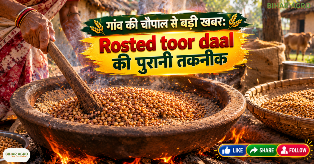 Rosted toor daal, भुनी अरहर दाल, पारंपरिक तुअर दाल, जाँते की दाल, Unpolished Toor Dal, Desi Arhar Dal Making Process, Traditional Roasted Toor Dal Benefits, देसी दाल के फायदे, बिना पॉलिश वाली दाल, ग्रामीण भारत का खानपान,