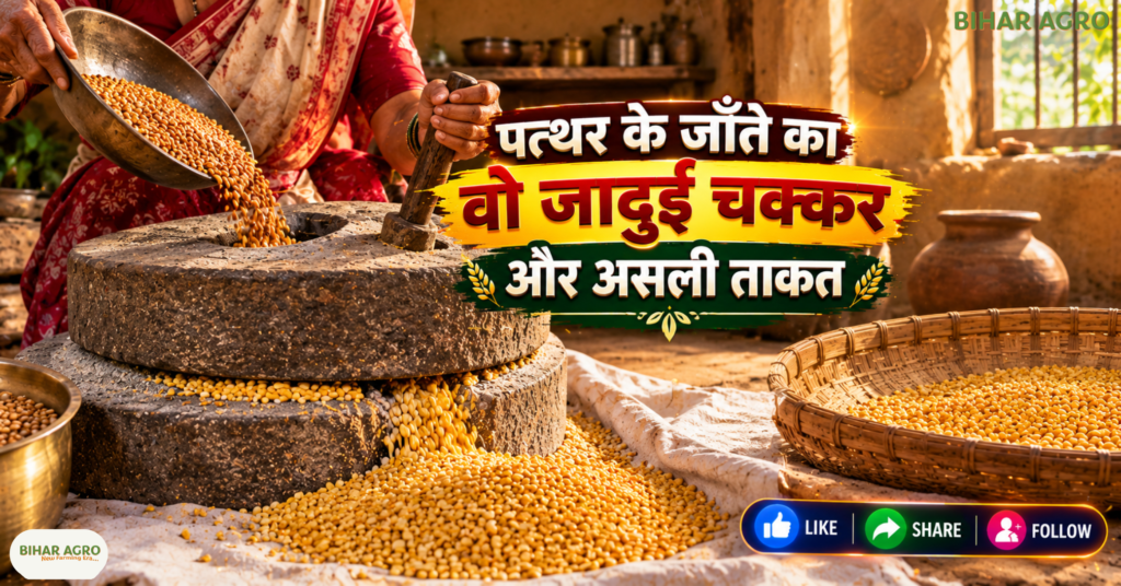 Rosted toor daal, भुनी अरहर दाल, पारंपरिक तुअर दाल, जाँते की दाल, Unpolished Toor Dal, Desi Arhar Dal Making Process, Traditional Roasted Toor Dal Benefits, देसी दाल के फायदे, बिना पॉलिश वाली दाल, ग्रामीण भारत का खानपान,
