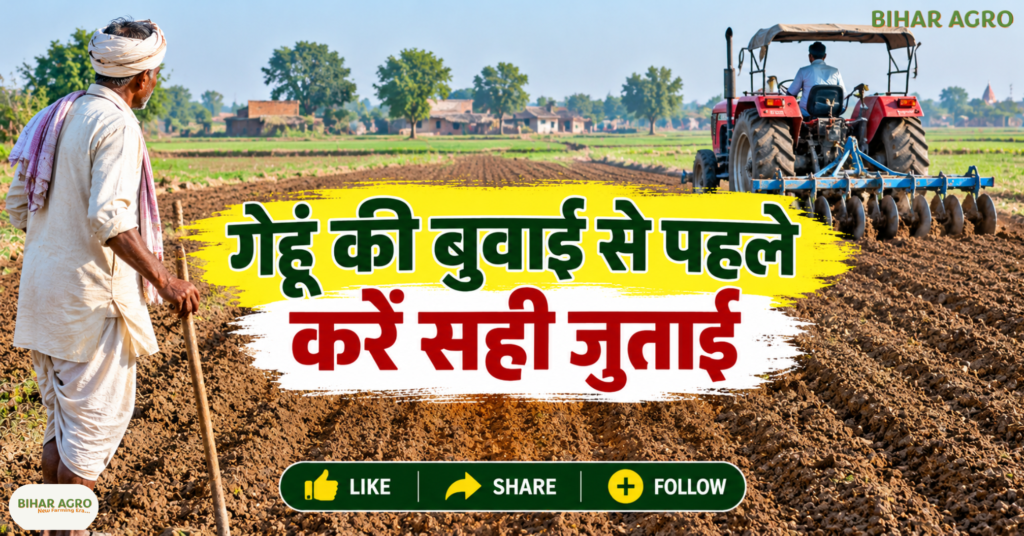 Wheat Field Preparation, Wheat Sowing Tips, Wheat Farming in Bihar, गेहूं की खेती, गेहूं की बुवाई, गेहूं के खेत की तैयारी, गेहूं की पैदावार बढ़ाने के उपाय, गेहूं में खाद कब डालें, Wheat Farming, Wheat Sowing, Field Preparation, Wheat Cultivation, गेहूं की खेती, गेहूं की बुवाई, रबी फसल, बिहार कृषि, कृषि सलाह, किसानों के लिए टिप्स, Tips for Wheat Field Preparation Before Sowing, Wheat Farming, Wheat Sowing Tips, गेहूं की खेती, गेहूं की बुवाई का सही तरीका, गेहूं की पैदावार कैसे बढ़ाएं, गेहूं के खेत की तैयारी, Wheat Cultivation in Bihar,