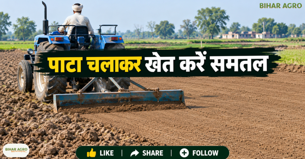 Wheat Field Preparation, Wheat Sowing Tips, Wheat Farming in Bihar, गेहूं की खेती, गेहूं की बुवाई, गेहूं के खेत की तैयारी, गेहूं की पैदावार बढ़ाने के उपाय, गेहूं में खाद कब डालें, Wheat Farming, Wheat Sowing, Field Preparation, Wheat Cultivation, गेहूं की खेती, गेहूं की बुवाई, रबी फसल, बिहार कृषि, कृषि सलाह, किसानों के लिए टिप्स, Tips for Wheat Field Preparation Before Sowing, Wheat Farming, Wheat Sowing Tips, गेहूं की खेती, गेहूं की बुवाई का सही तरीका, गेहूं की पैदावार कैसे बढ़ाएं, गेहूं के खेत की तैयारी, Wheat Cultivation in Bihar,