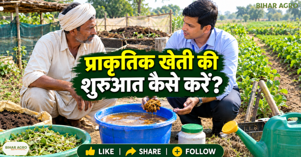 प्राकृतिक खेती, Organic Farming, National Mission on Natural Farming, प्राकृतिक खेती योजना, किसान योजना, ₹4000 प्रति एकड़, सरकारी कृषि योजना, मिट्टी की सेहत, टिकाऊ खेती, बिहार कृषि समाचार, National Mission on Natural Farming, NMNF, प्राकृतिक खेती योजना, प्राकृतिक खेती में सरकारी सहायता, ₹4000 प्रति एकड़ सहायता, Natural Farming Scheme, प्राकृतिक खेती के फायदे, जैविक खेती, किसान सरकारी योजना,