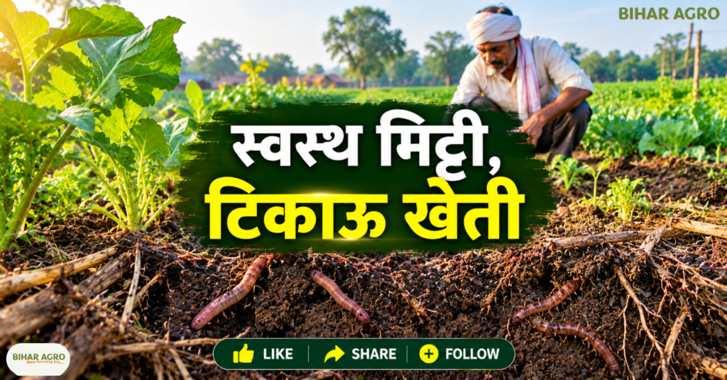 प्राकृतिक खेती, Organic Farming, National Mission on Natural Farming, प्राकृतिक खेती योजना, किसान योजना, ₹4000 प्रति एकड़, सरकारी कृषि योजना, मिट्टी की सेहत, टिकाऊ खेती, बिहार कृषि समाचार, National Mission on Natural Farming, NMNF, प्राकृतिक खेती योजना, प्राकृतिक खेती में सरकारी सहायता, ₹4000 प्रति एकड़ सहायता, Natural Farming Scheme, प्राकृतिक खेती के फायदे, जैविक खेती, किसान सरकारी योजना,